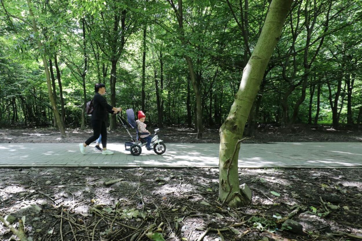 Во львовском парке Франко проводят ремонт за 4 миллиона гривен за счет анонимного благотворителя