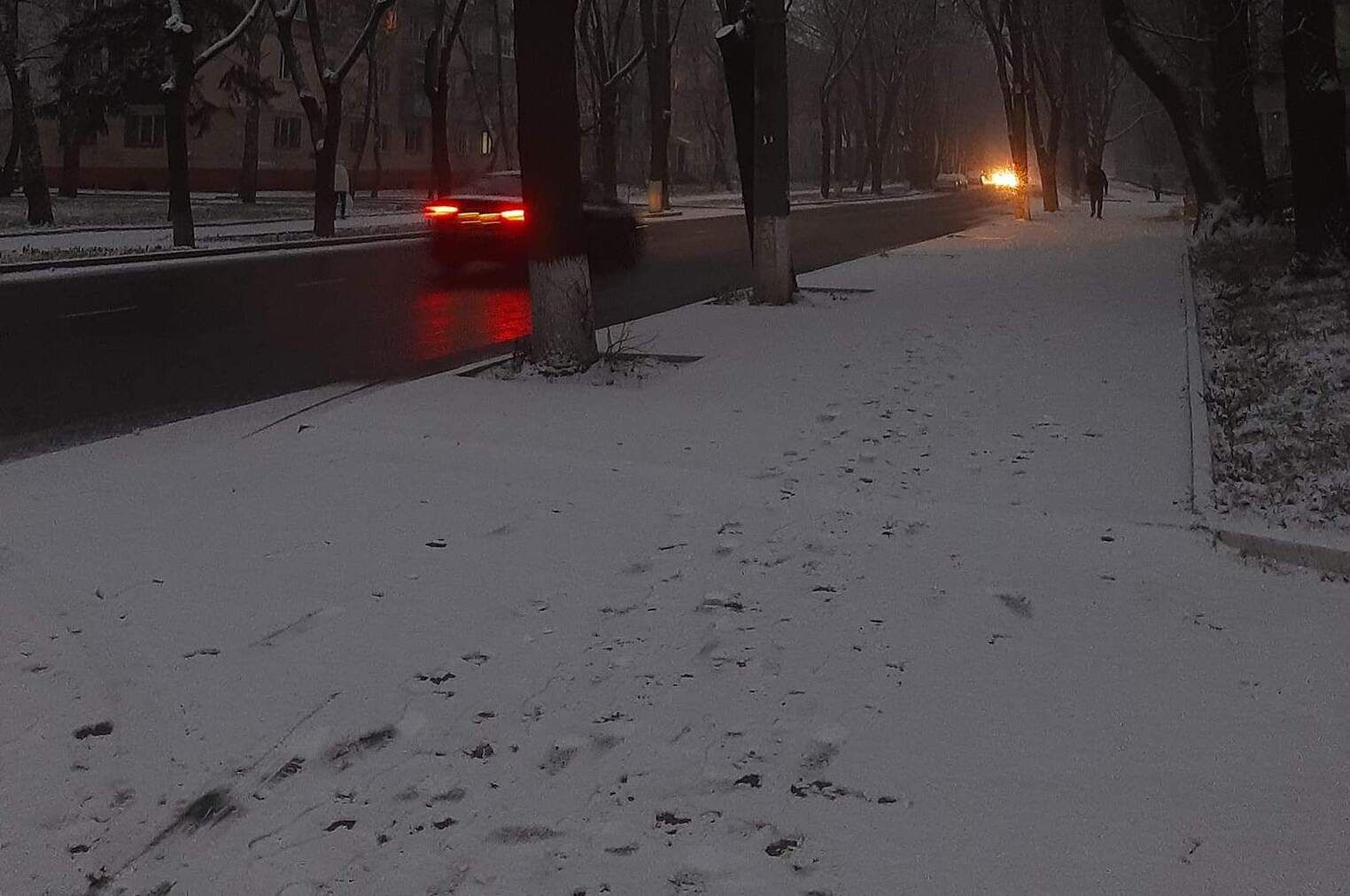 Когда будет снег в Киеве и всех городах Украины в 2021: прогноз синоптиков