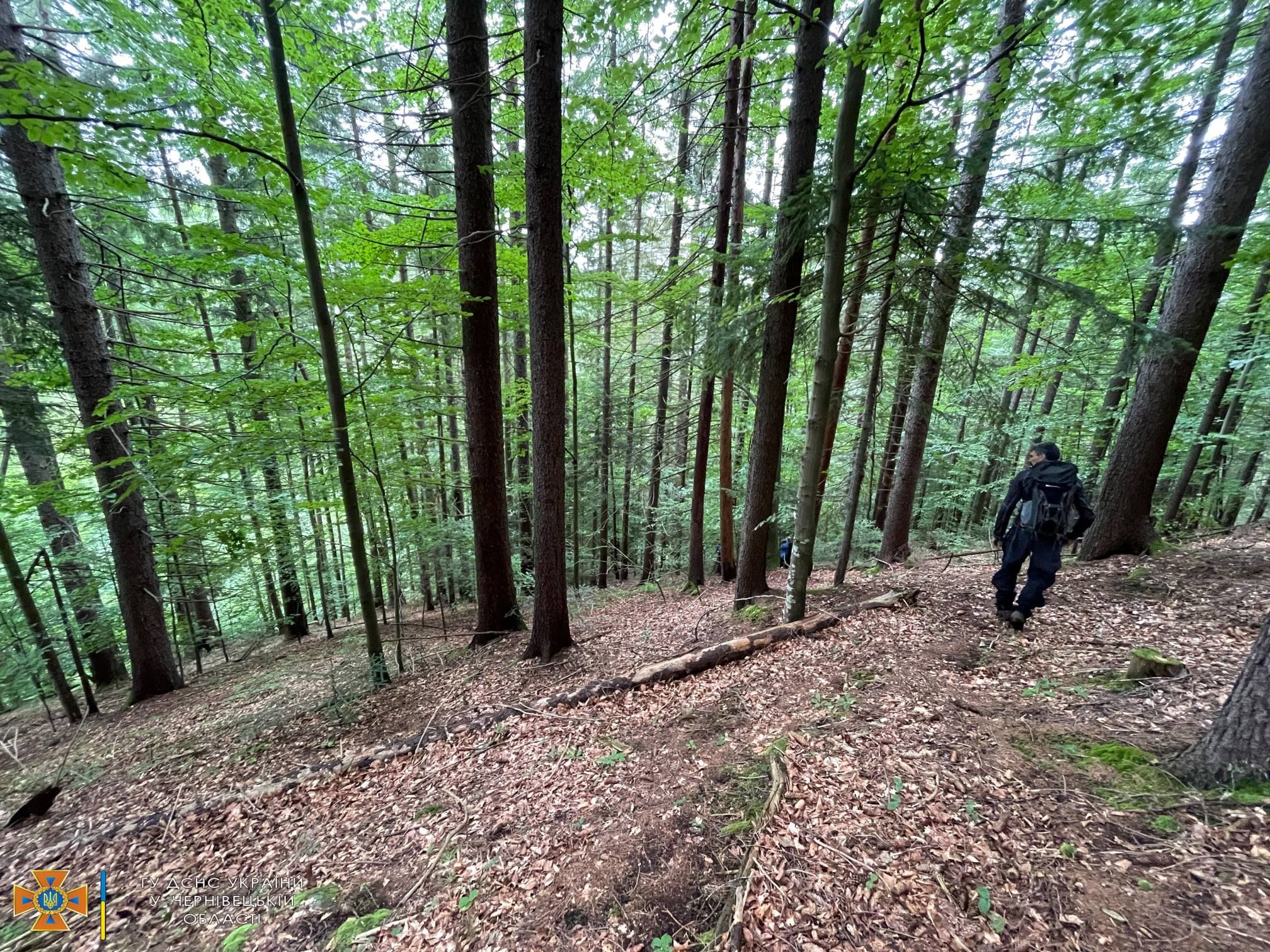 Пішов по гриби та зник: на Буковині 9 днів шукають чоловіка - Новини Чернівців - 24 Канал Пішов по гриби та зник: на Буковині 9 днів шукають чоловіка - Новини Чернівців - 24 Канал