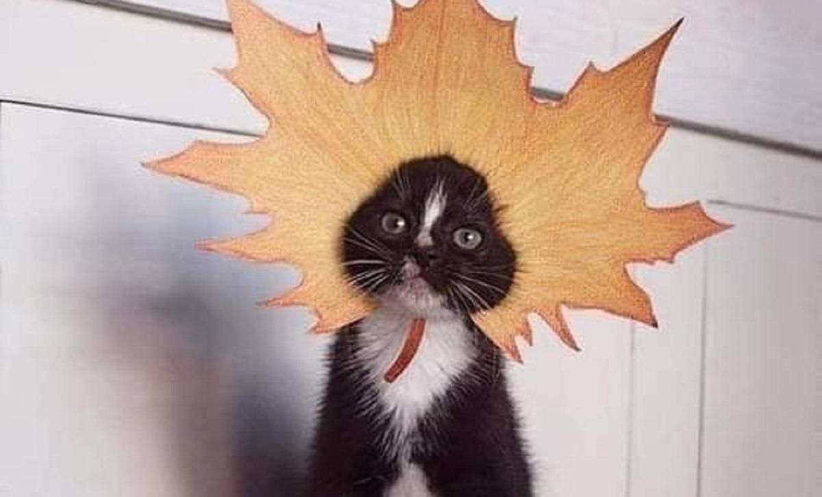 Погода на 5 вересня 2021 в Україні: що прогнозують синоптики Погода на 5 вересня 2021 в Україні: що прогнозують синоптики