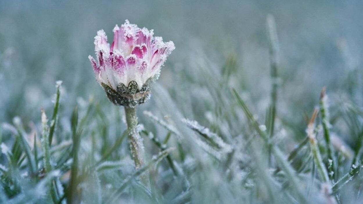 На Львівщину йдуть перші заморозки: прогноз погоди на 4 – 7 вересня - Львів На Львівщину йдуть перші заморозки: прогноз погоди на 4 – 7 вересня - Львів