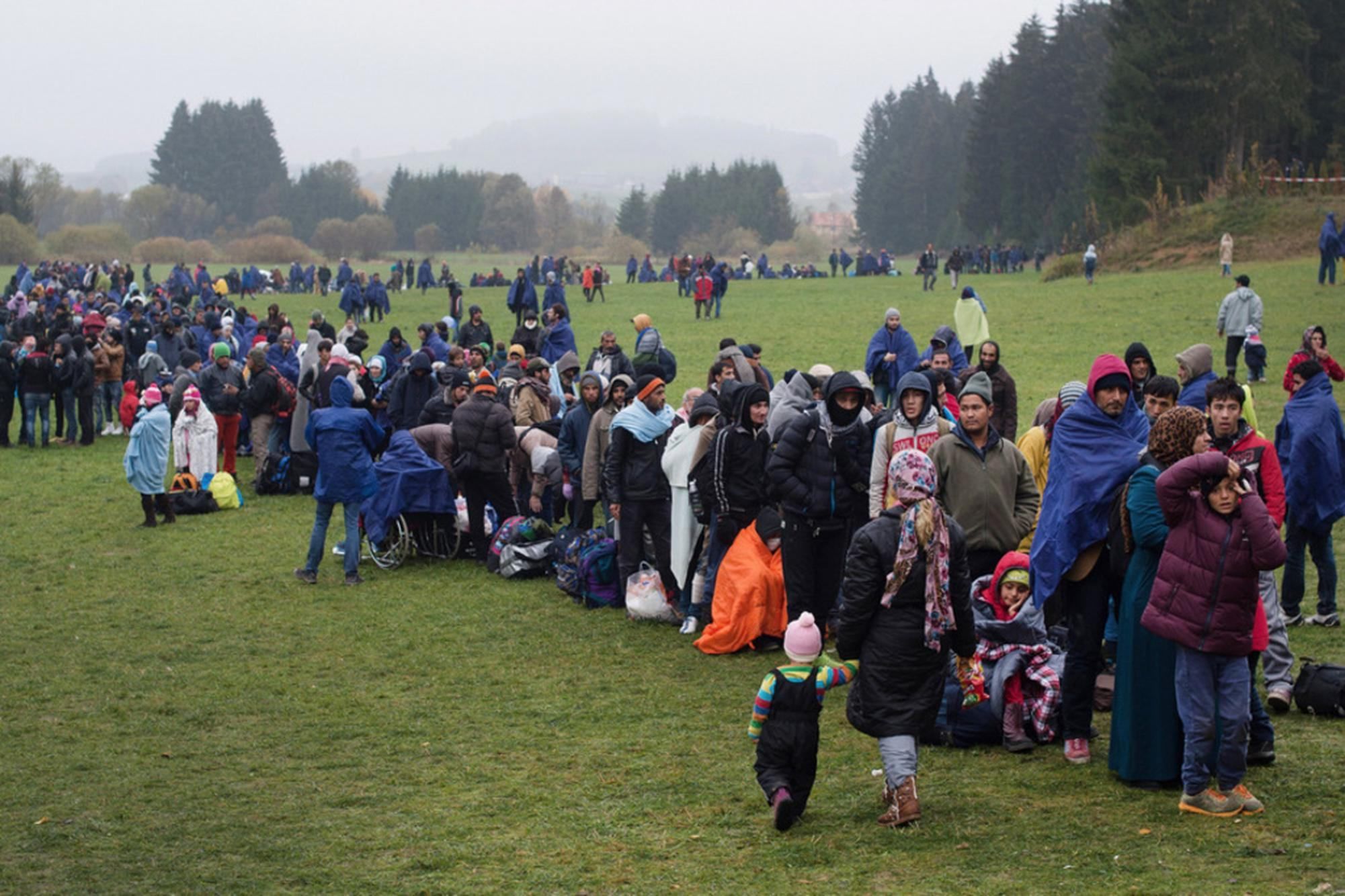 Кризис с беженцами может привести к выработке единой политики – зампред Еврокомиссии Кризис с беженцами может привести к выработке единой политики – зампред Еврокомиссии