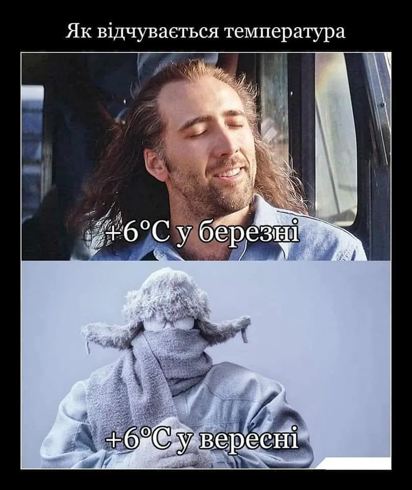 меми тижня меми тижня