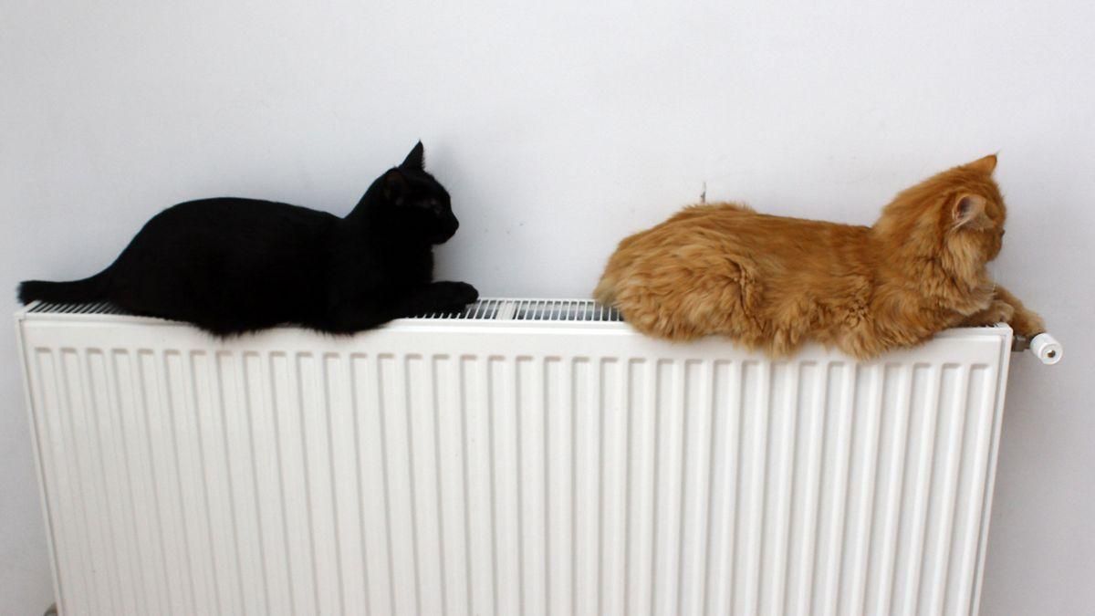 В уряді запевнили, що регіони готові до опалювального сезону на 80% - Україна новини - 24 Канал В уряді запевнили, що регіони готові до опалювального сезону на 80% - Україна новини - 24 Канал