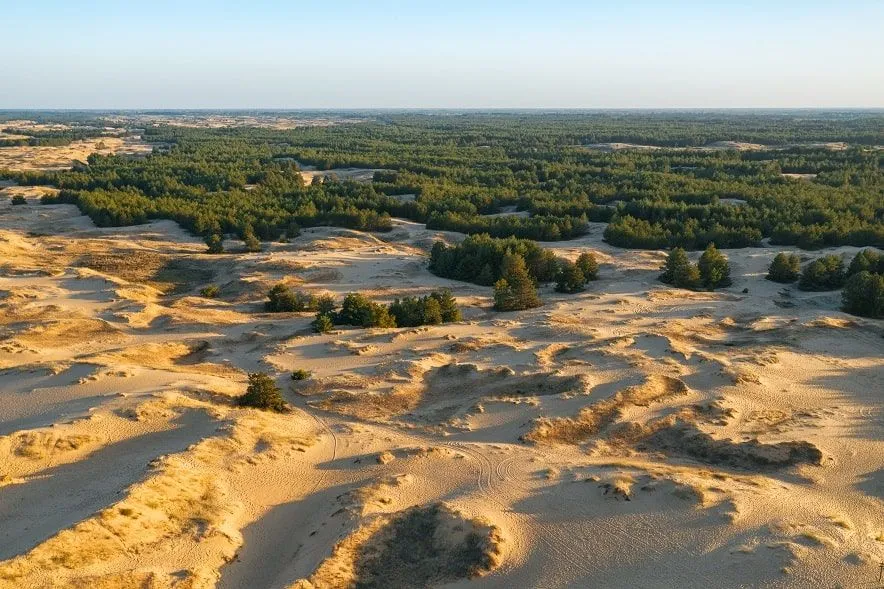 Олешківські піски Олешківські піски