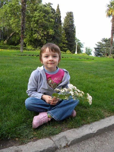 Всиновлення Всиновлення