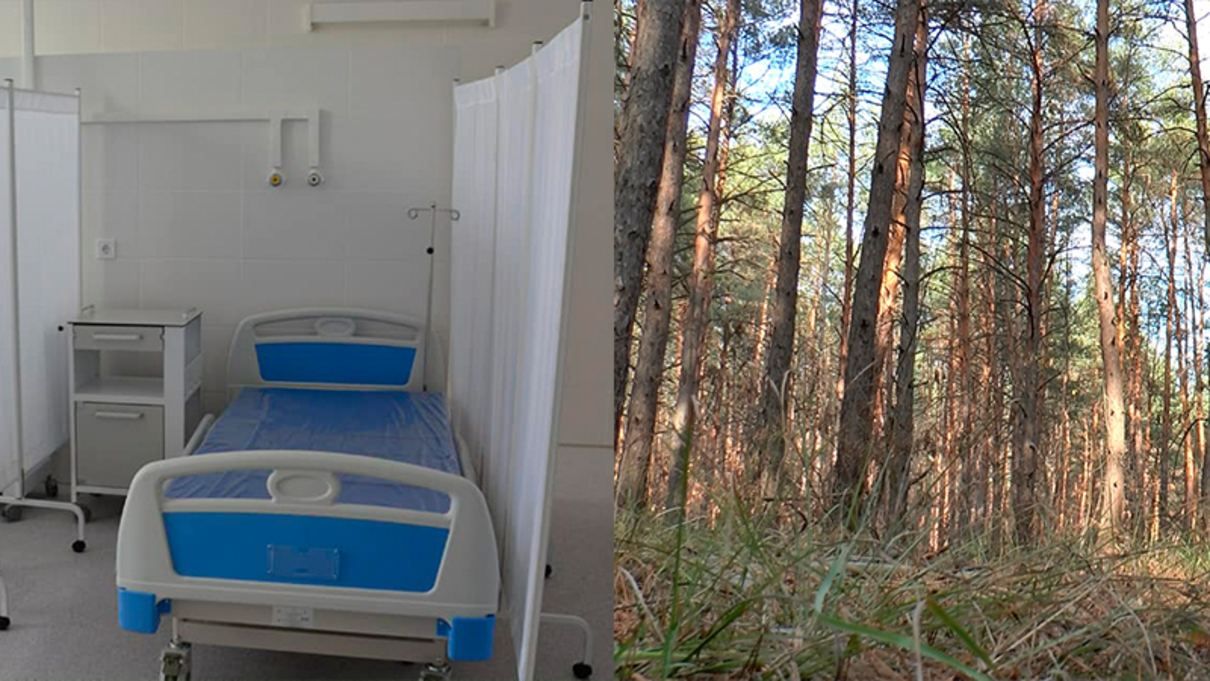 Смертельні "дари лісу": на Вінниччині від отруєння померли двоє дітей - Новини Вінниця - 24 Канал Смертельні "дари лісу": на Вінниччині від отруєння померли двоє дітей - Новини Вінниця - 24 Канал