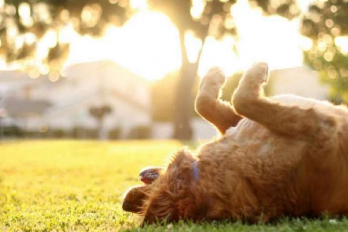 Погода на 8 вересня 2021 в Україні: що прогнозують синоптики Погода на 8 вересня 2021 в Україні: що прогнозують синоптики