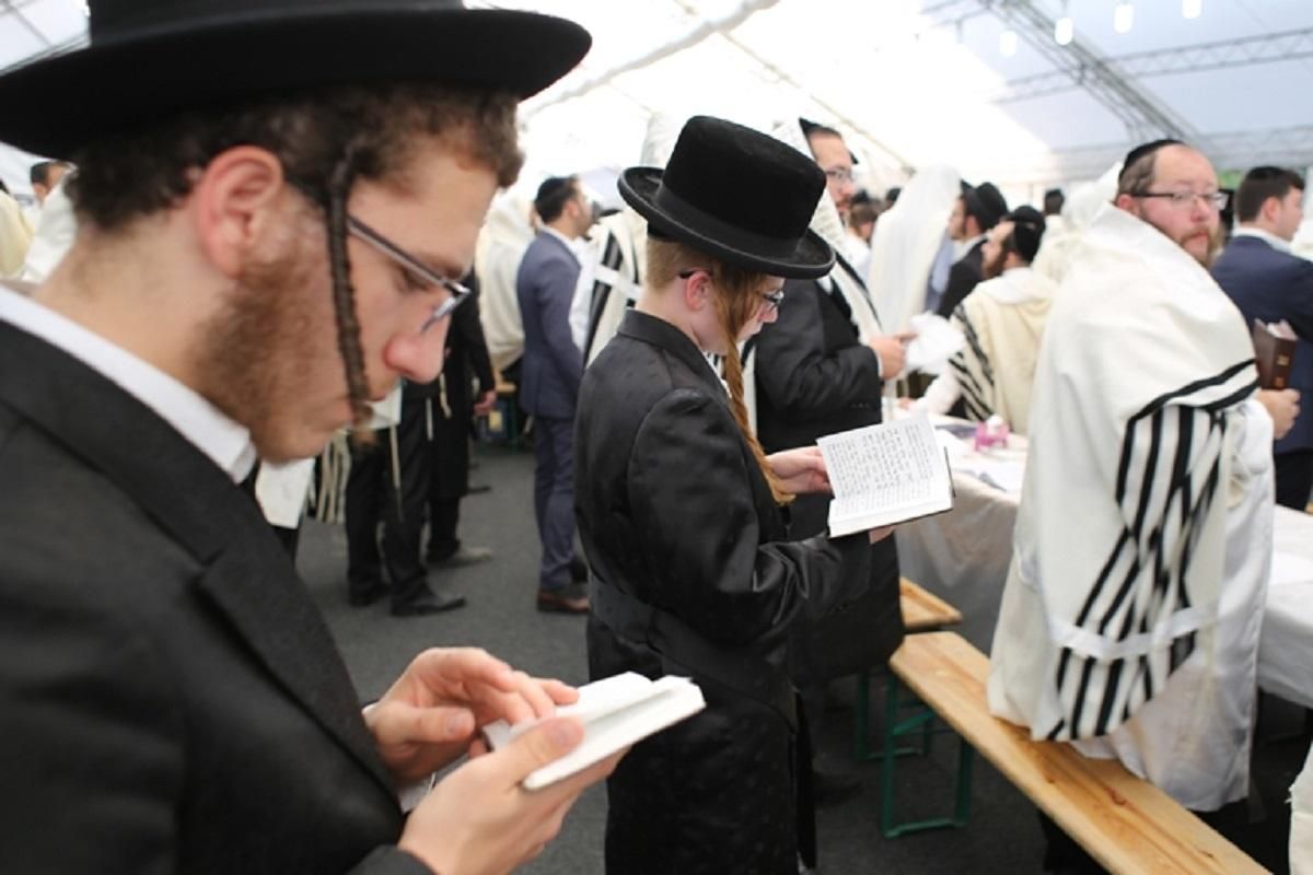 Місцева влада могла організувати "Лас-Вегас", – Куницький про святкування хасидів в Умані - новини Ізраїлю - 24 Канал Місцева влада могла організувати "Лас-Вегас", – Куницький про святкування хасидів в Умані - новини Ізраїлю - 24 Канал