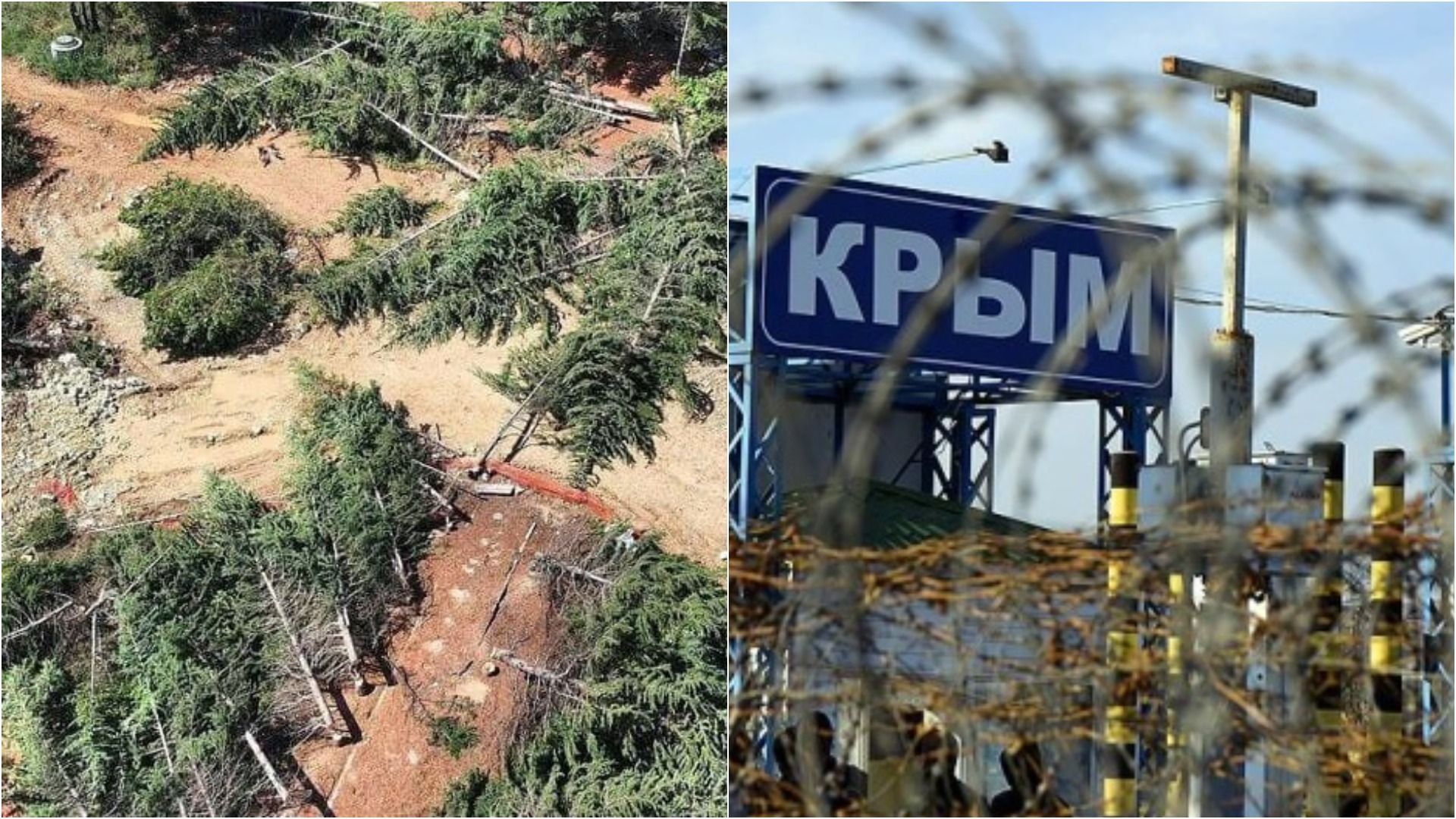 В окупованому Севастополі за ніч вирубали понад 350 дерев, що висадили ветерани Другої світової - Новини Севастополь - 24 Канал В окупованому Севастополі за ніч вирубали понад 350 дерев, що висадили ветерани Другої світової - Новини Севастополь - 24 Канал