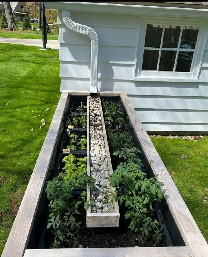 Найпростіший спосіб поливати квіти Найпростіший спосіб поливати квіти