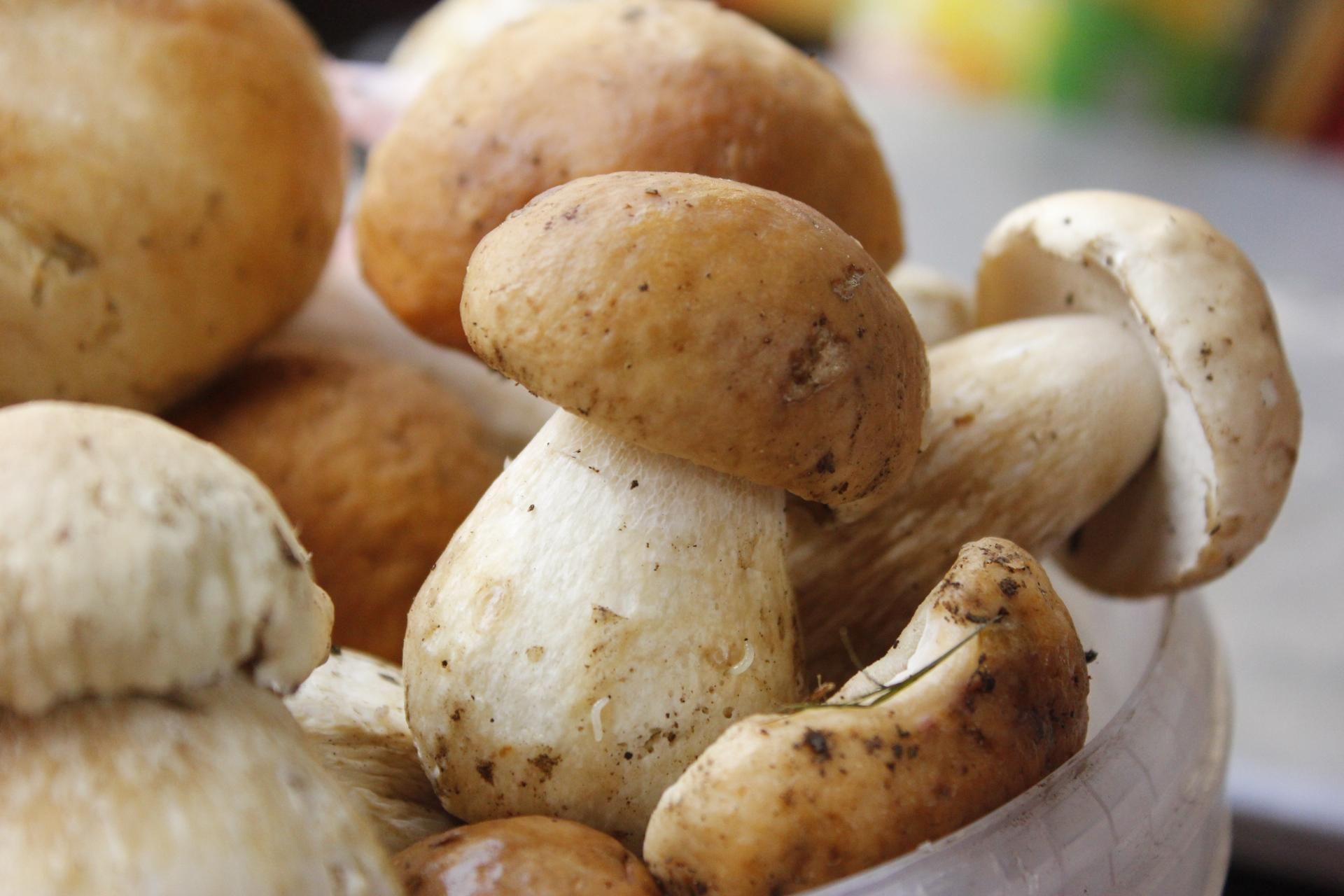 Матір сама виховує 8 дітей: подробиці смертельного отруєння на Вінниччині - Україна новини - 24 Канал Матір сама виховує 8 дітей: подробиці смертельного отруєння на Вінниччині - Україна новини - 24 Канал