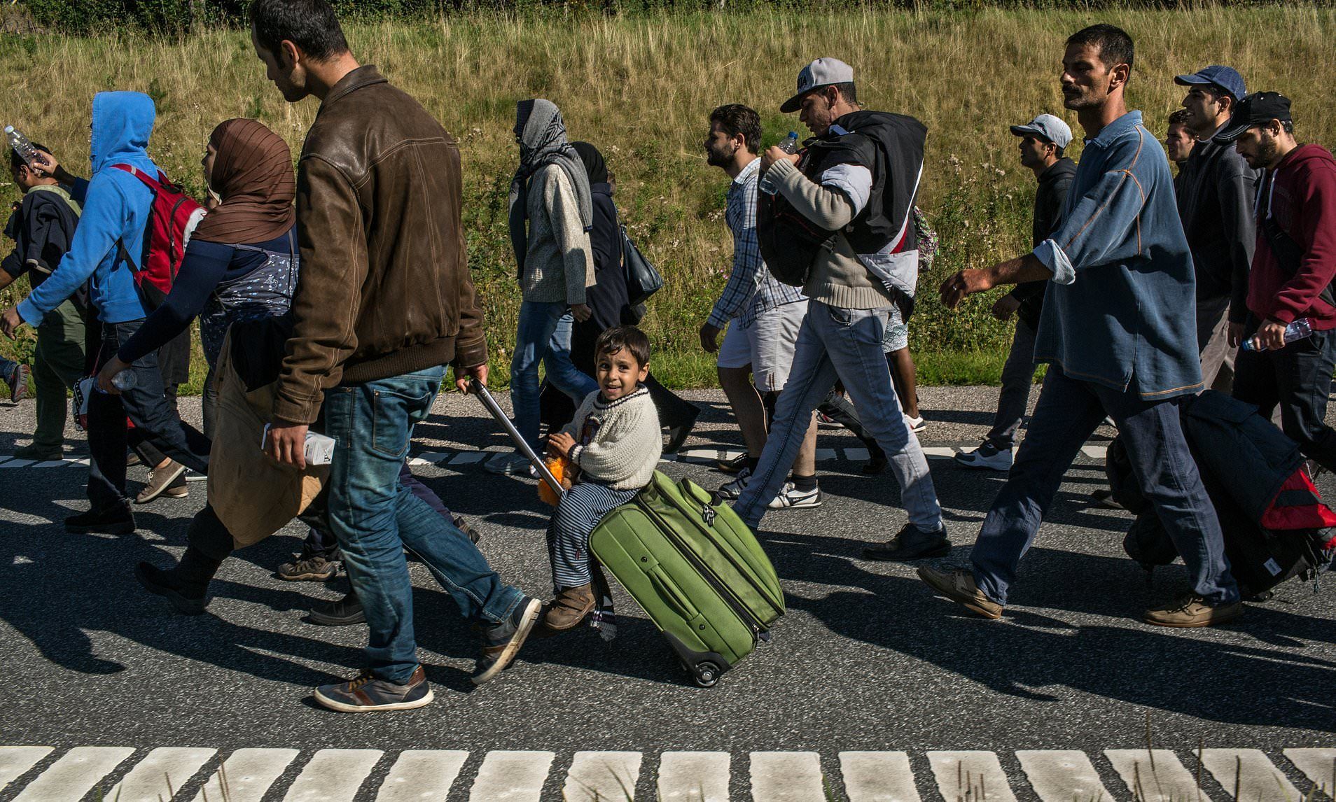 В Дании мигрантам предложат работать, чтобы получать помощь В Дании мигрантам предложат работать, чтобы получать помощь