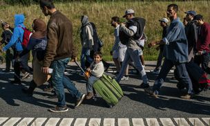 В Дании мигрантам предложат работать, чтобы получать помощь