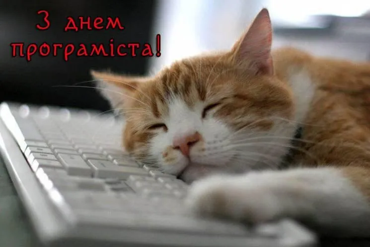 Привітання з Днем програміста 2021 Привітання з Днем програміста 2021