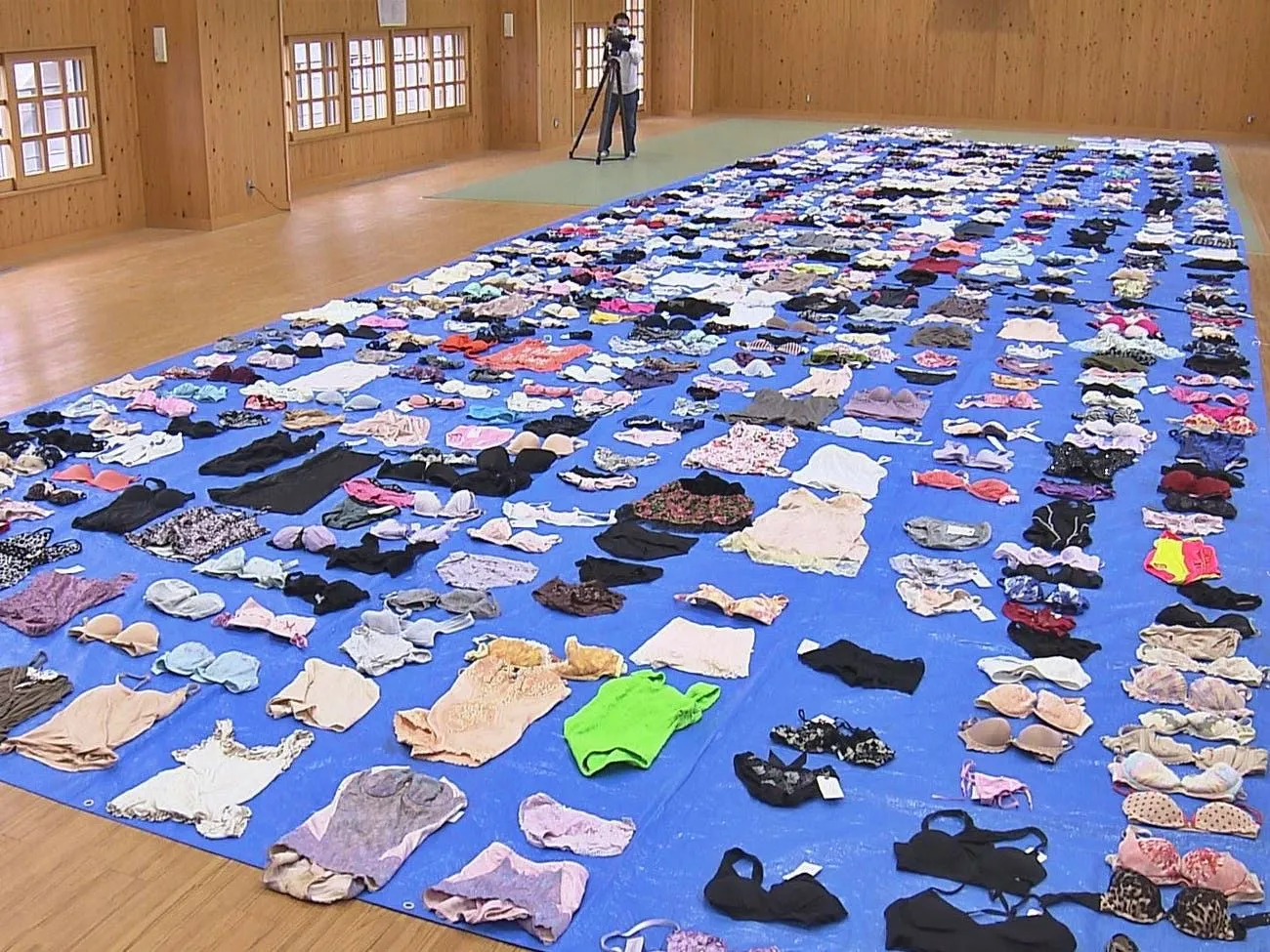Японец украл 730 предметов женского нижнего белья