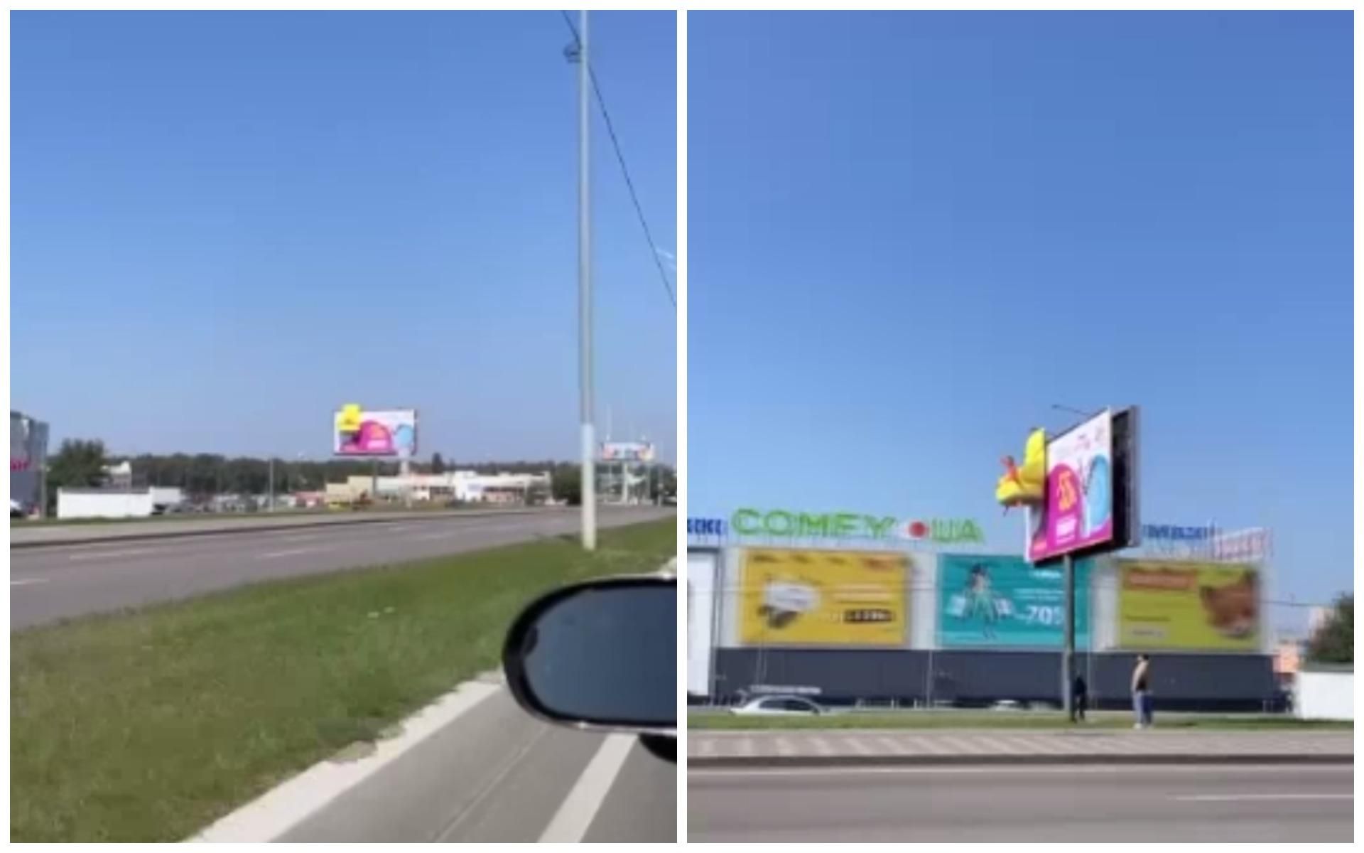 На київській трасі розмістили білборд із живою дівчиною: відео з місця - Новини Київ - Київ На київській трасі розмістили білборд із живою дівчиною: відео з місця - Новини Київ - Київ