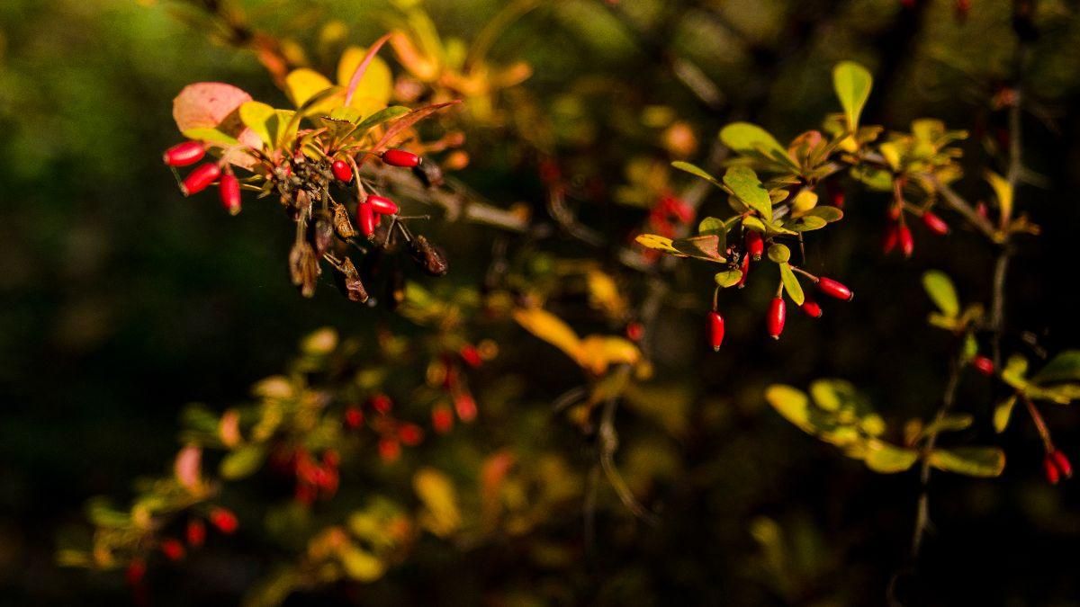 Погода на 10 сентября 2021 в Украине: что прогнозируют синоптики Погода на 10 сентября 2021 в Украине: что прогнозируют синоптики