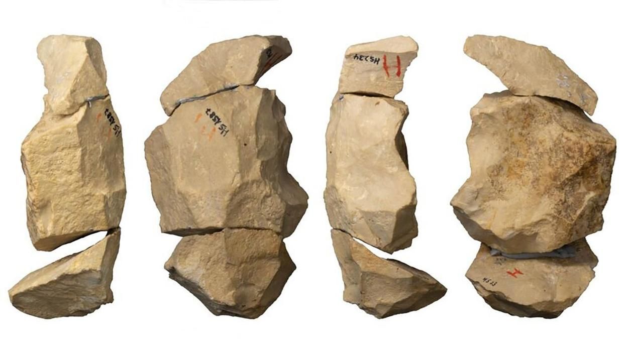 Неандертальцы использовали сложную технику при производстве орудий труда Неандертальцы использовали сложную технику при производстве орудий труда