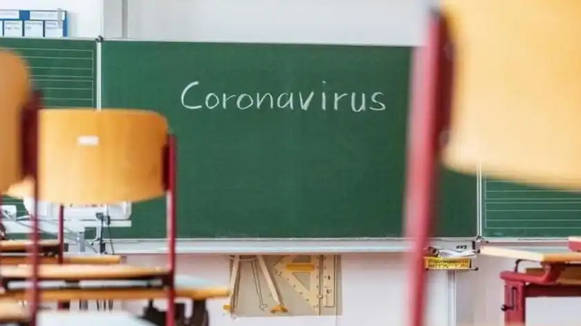 У кількох школах Миколаєва виявили коронавірус: класи переводять на дистанційку - Освіта