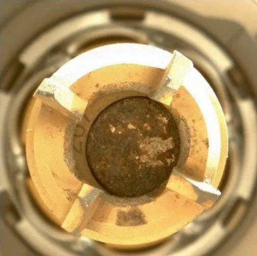 Perseverance Perseverance