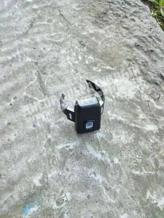 Зірвав електронний браслет у суді в Дніпрі Зірвав електронний браслет у суді в Дніпрі