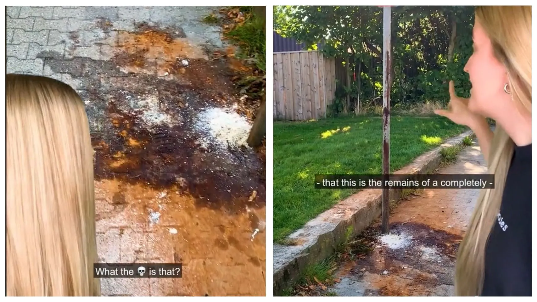 На вулицях Данії часто можна помітити ось такі коричневі плями На вулицях Данії часто можна помітити ось такі коричневі плями