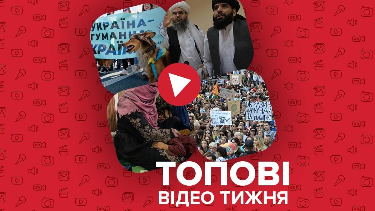 "Талібан" обмежує права жінок, Марш за тварин у 30 містах України – відео тижня - Новини Харків - 24 Канал