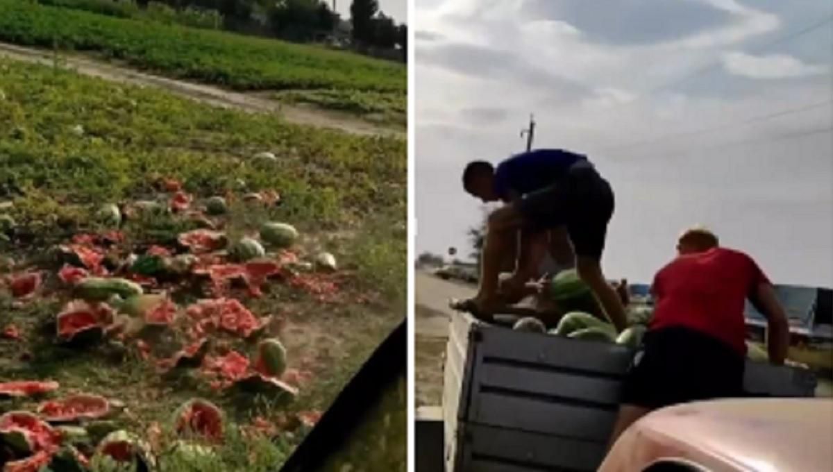 Вывозят тоннами и выбрасывают: фермеры из Херсонщины беспощадно уничтожают урожай арбузов Вывозят тоннами и выбрасывают: фермеры из Херсонщины беспощадно уничтожают урожай арбузов