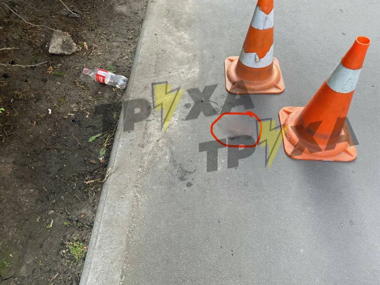 У Харкові на вулиці викинули ембріона У Харкові на вулиці викинули ембріона