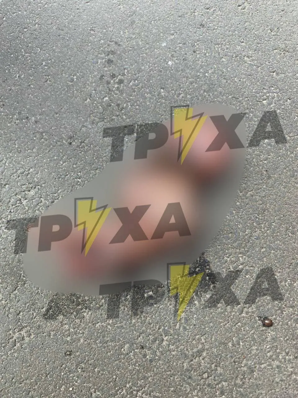 У Харкові на вулиці викинули ембріона У Харкові на вулиці викинули ембріона