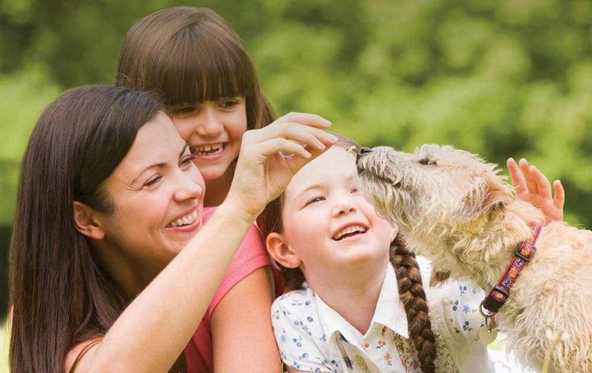 Игра для детей от Purina® и Happy Paw: как стать участником розыгрыша