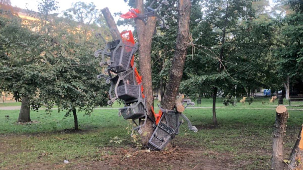 "Дикарский флешмоб": в Киеве неизвестные обвешивают дерево тележками из супермаркета