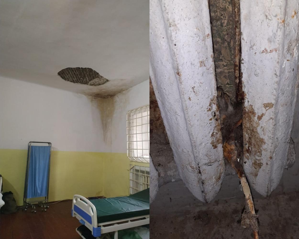 Мертвые крысы и мокрые стены: в офисе омбудсмена ужаснулись условиями во львовской тюрьме