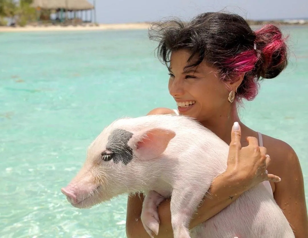 Мішель Андраде поплавала зі свинями