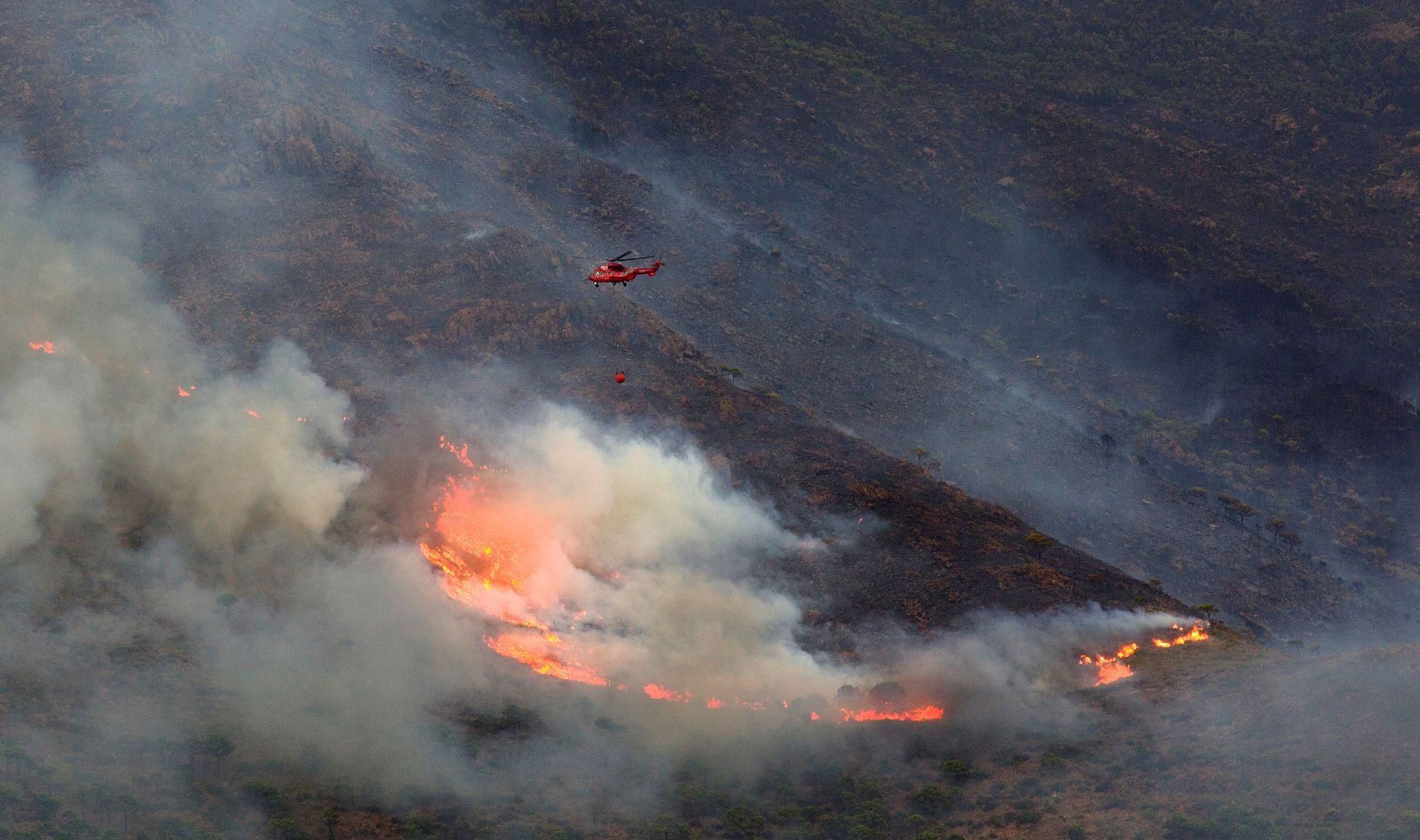 Выжгла почти 10 тысяч гектаров: в Испании на 6 день все же укротили разрушительный пожар