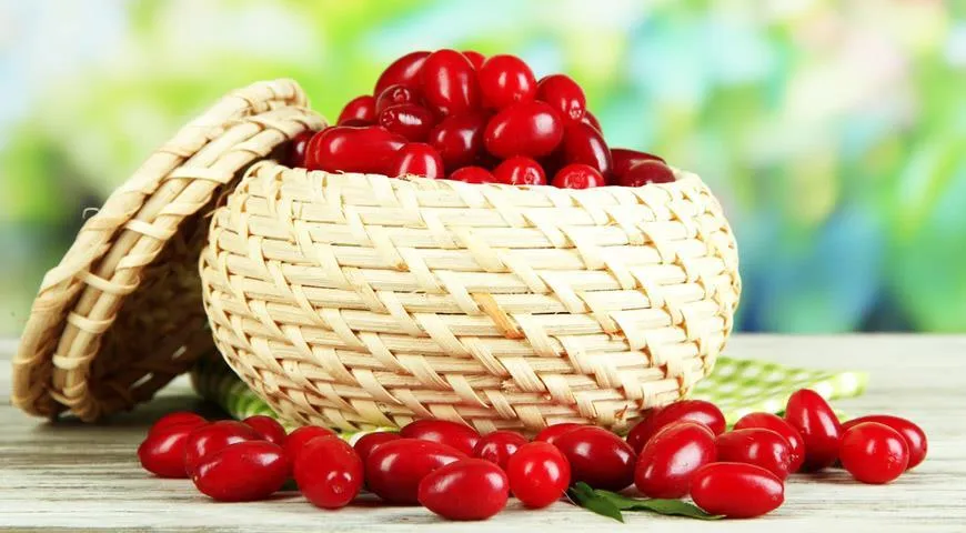 Кизил: полезные свойства и противопоказания, применение ягод и косточек кизила