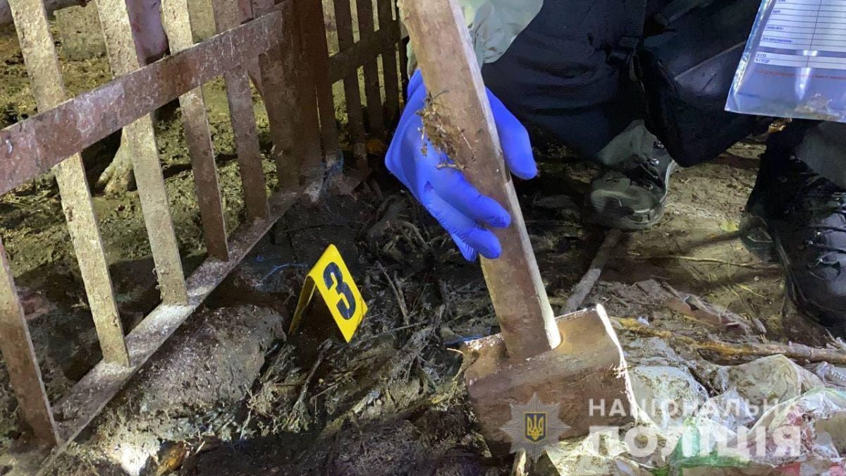 Вдарив молотком по снаряду: на Черкащині трагічно загинув 14-річний підліток - Новини Черкаси - 24 Канал Вдарив молотком по снаряду: на Черкащині трагічно загинув 14-річний підліток - Новини Черкаси - 24 Канал