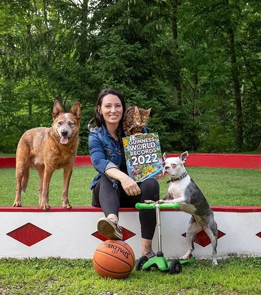 кіт з собакою проїхалися на самокаті й потрапили до книги рекордів Гіннеса кіт з собакою проїхалися на самокаті й потрапили до книги рекордів Гіннеса