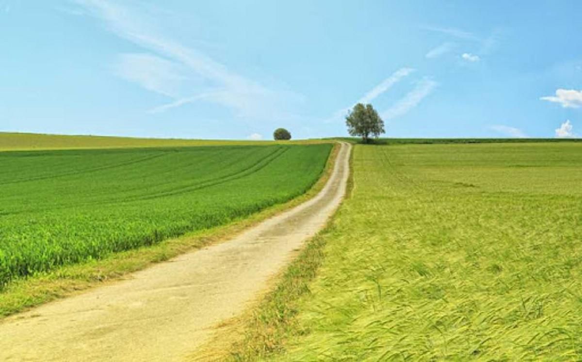 Бесплатно, потому что соратнику мэра: как депутаты в Черкассах выделили землю под таунхаусы
Бесплатно, потому что соратнику мэра: как депутаты в Черкассах выделили землю под таунхаусы