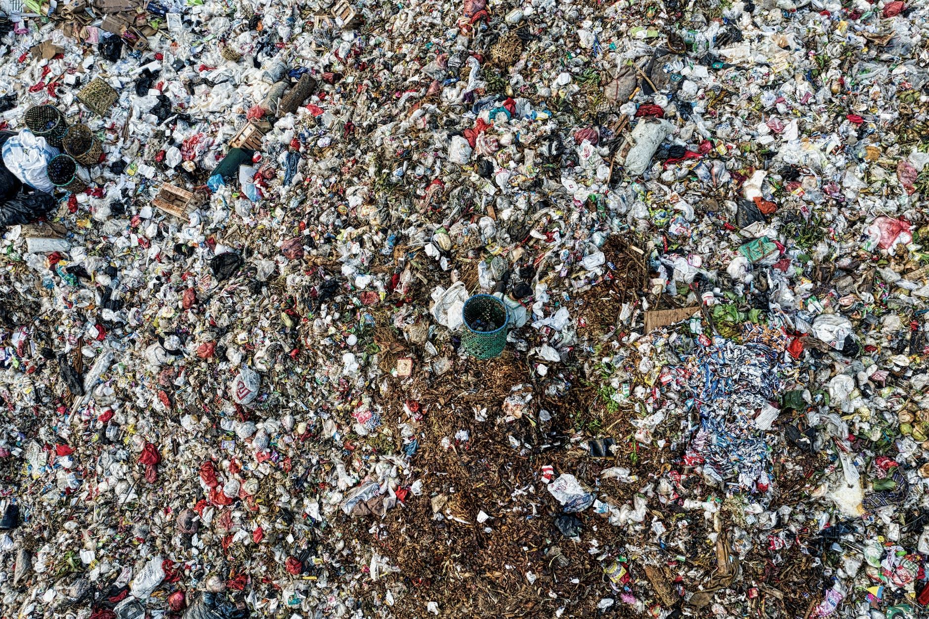 Исчезновение некоторых видов животных: неэффективная природоохранная политика в Украине Исчезновение некоторых видов животных: неэффективная природоохранная политика в Украине