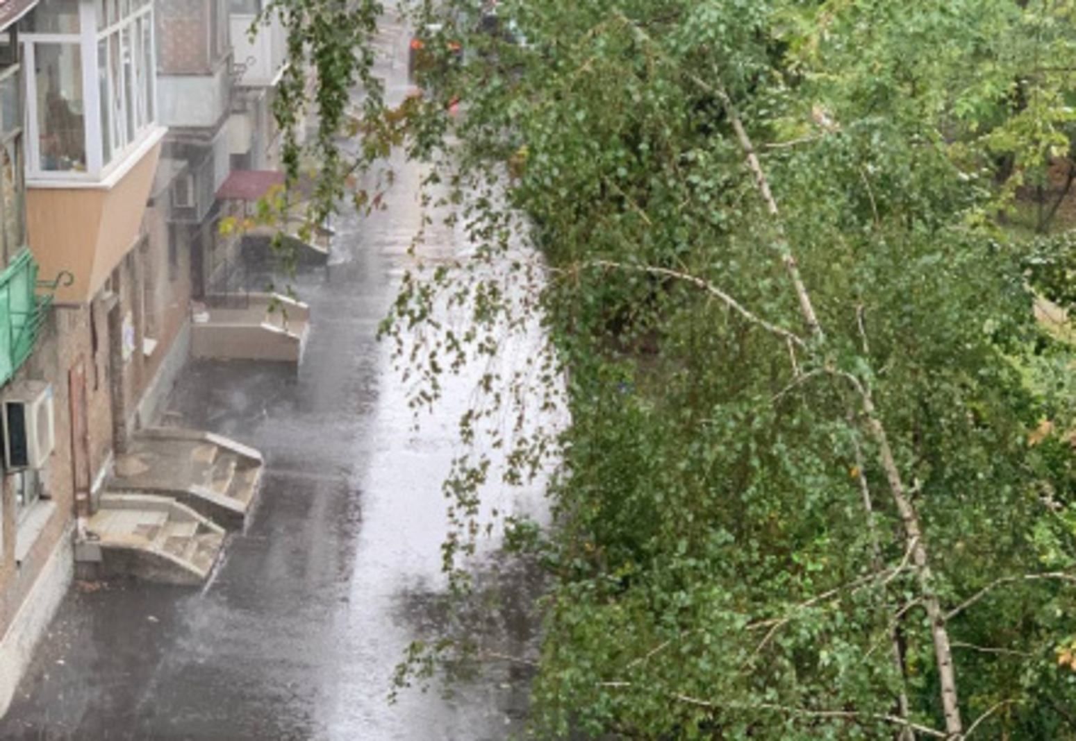На Київ суне сильна гроза: синоптики попередили про небезпеку - Київ