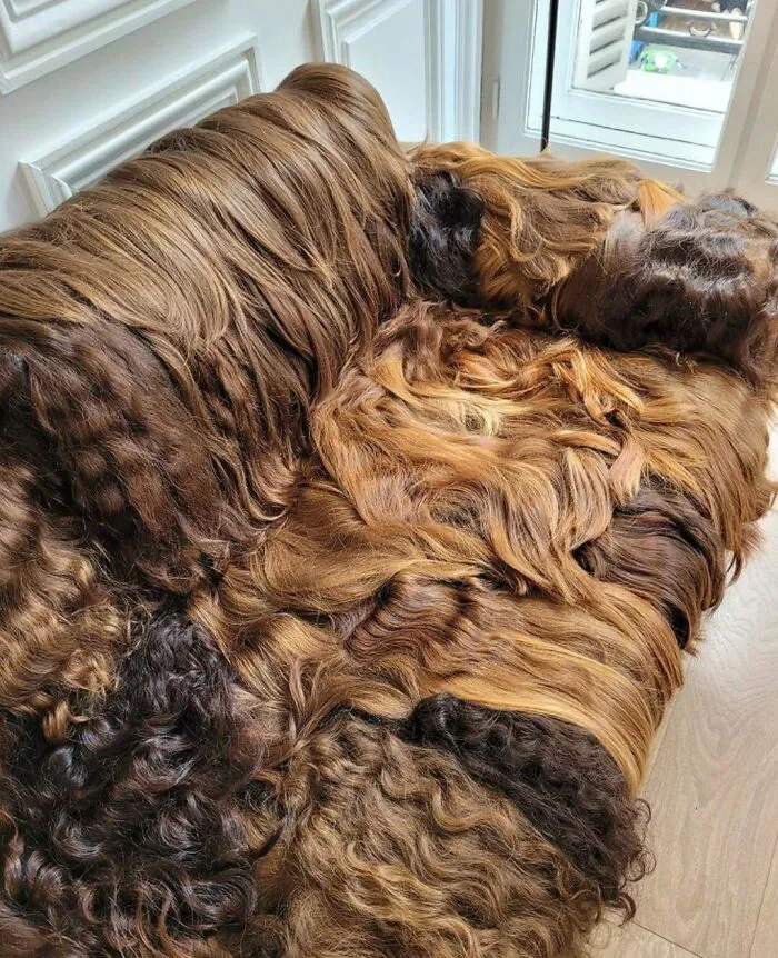 Це навіть виглядає огидно Це навіть виглядає огидно