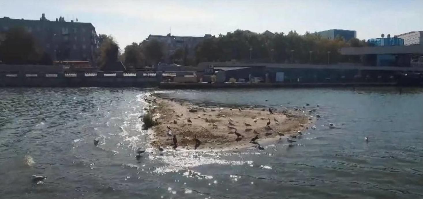 Природное чудо или проблема: в Днепре на реке образовался новый остров – красноречивые фото Природное чудо или проблема: в Днепре на реке образовался новый остров – красноречивые фото