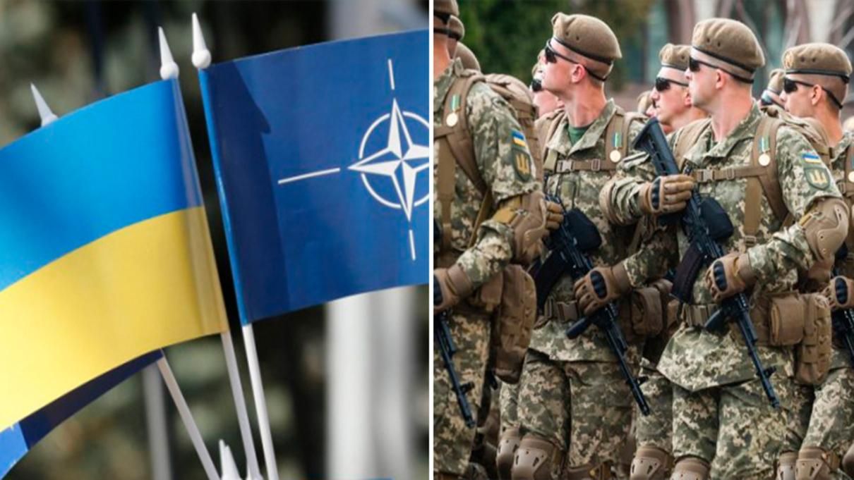 В армії України запровадили вже понад 300 стандартів НАТО: де вони застосовуються - Україна новини - 24 Канал