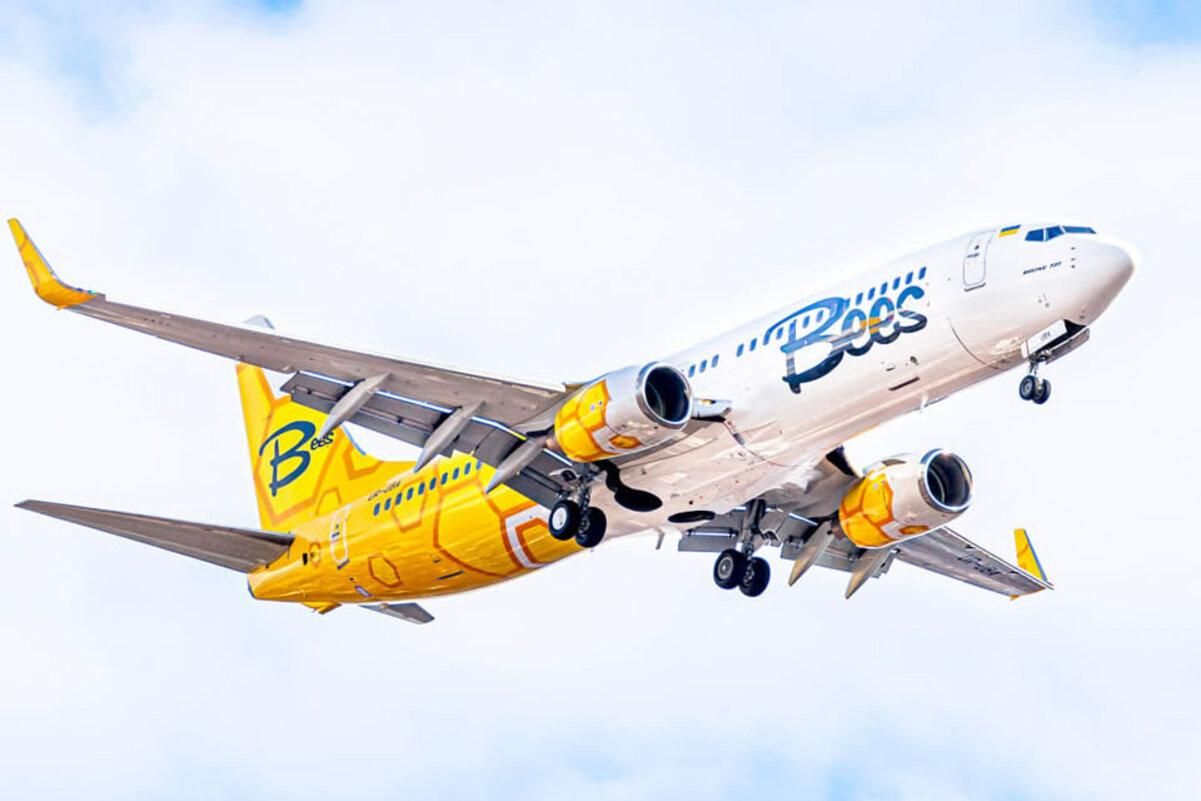 Bees Airline відкрила нові осінні напрямки: куди літатиме та за скільки - Грузія новини - Travel Bees Airline відкрила нові осінні напрямки: куди літатиме та за скільки - Грузія новини - Travel