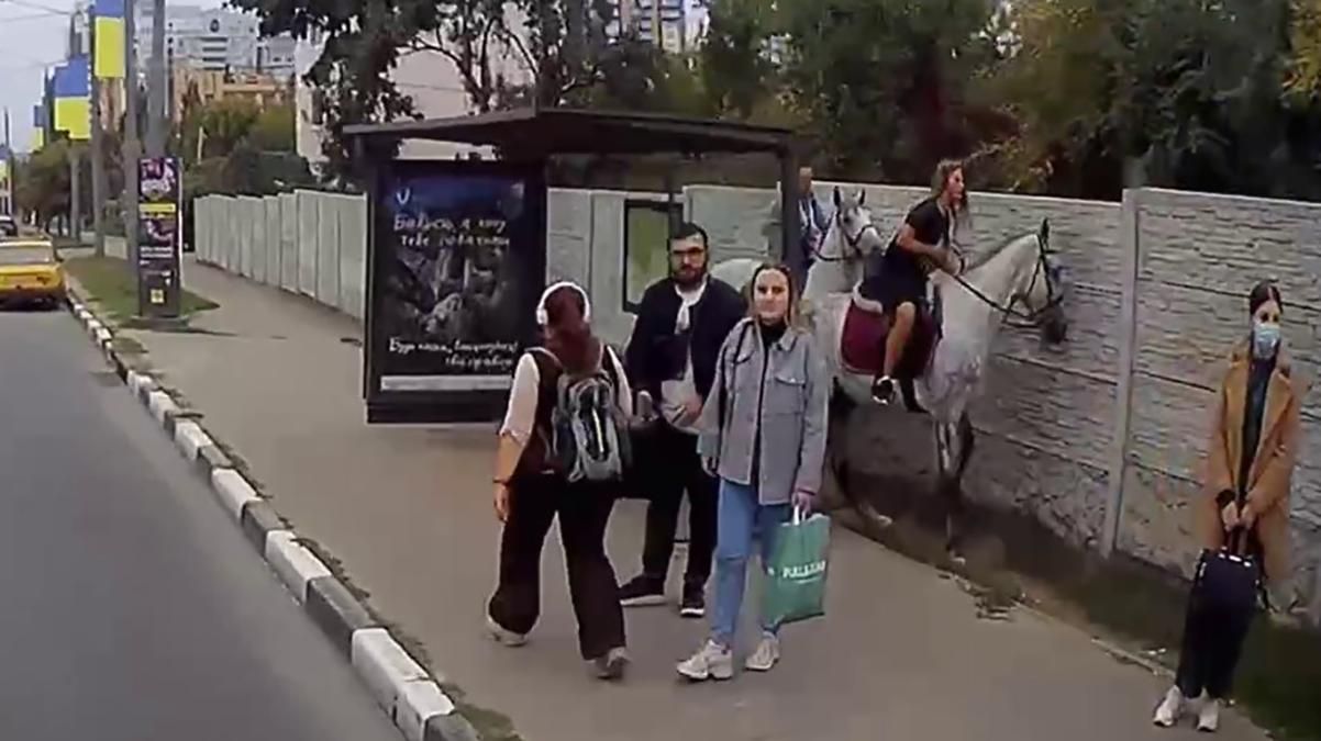 Конь разбил стеклянную остановку в Харькове: видео инцидента Конь разбил стеклянную остановку в Харькове: видео инцидента