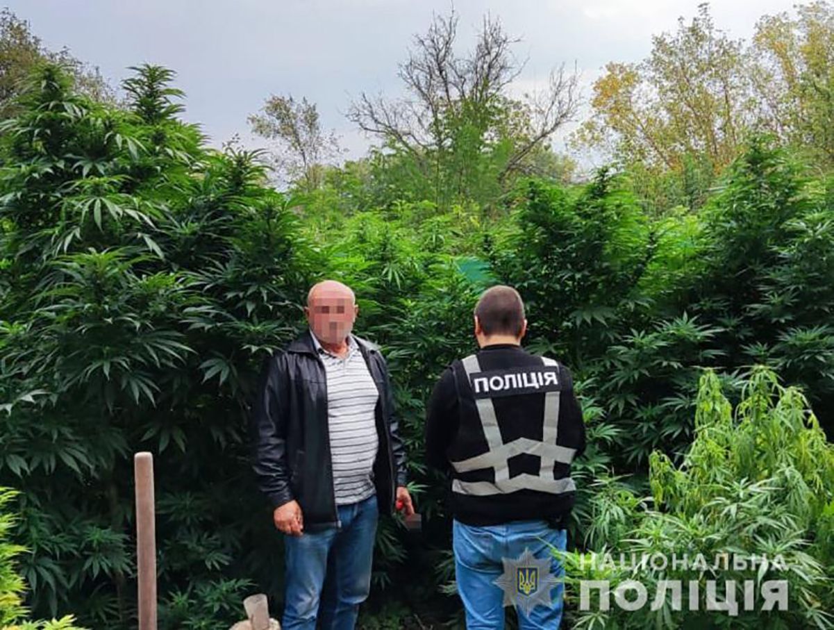 На Житомирщине мужчина поставлял каннабис через собственный канал в Киев