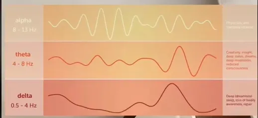 Мозок нарощує активність, переходячи від дельти до тети до альфа хвиль мозку