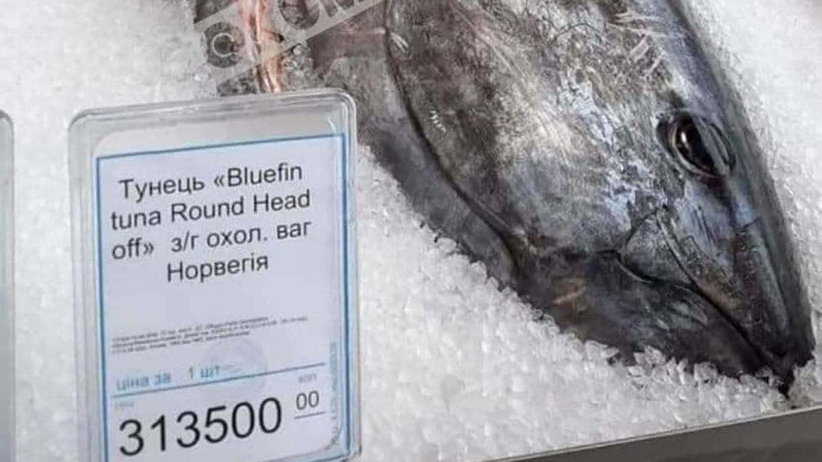 Тунец за 300 тысяч: в Киеве продают рыбу стоимостью, как авто
